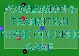 Possession - Transition Game